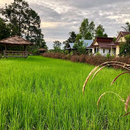 Baan Thung Home Stay Prasat Dış mekan fotoğraf