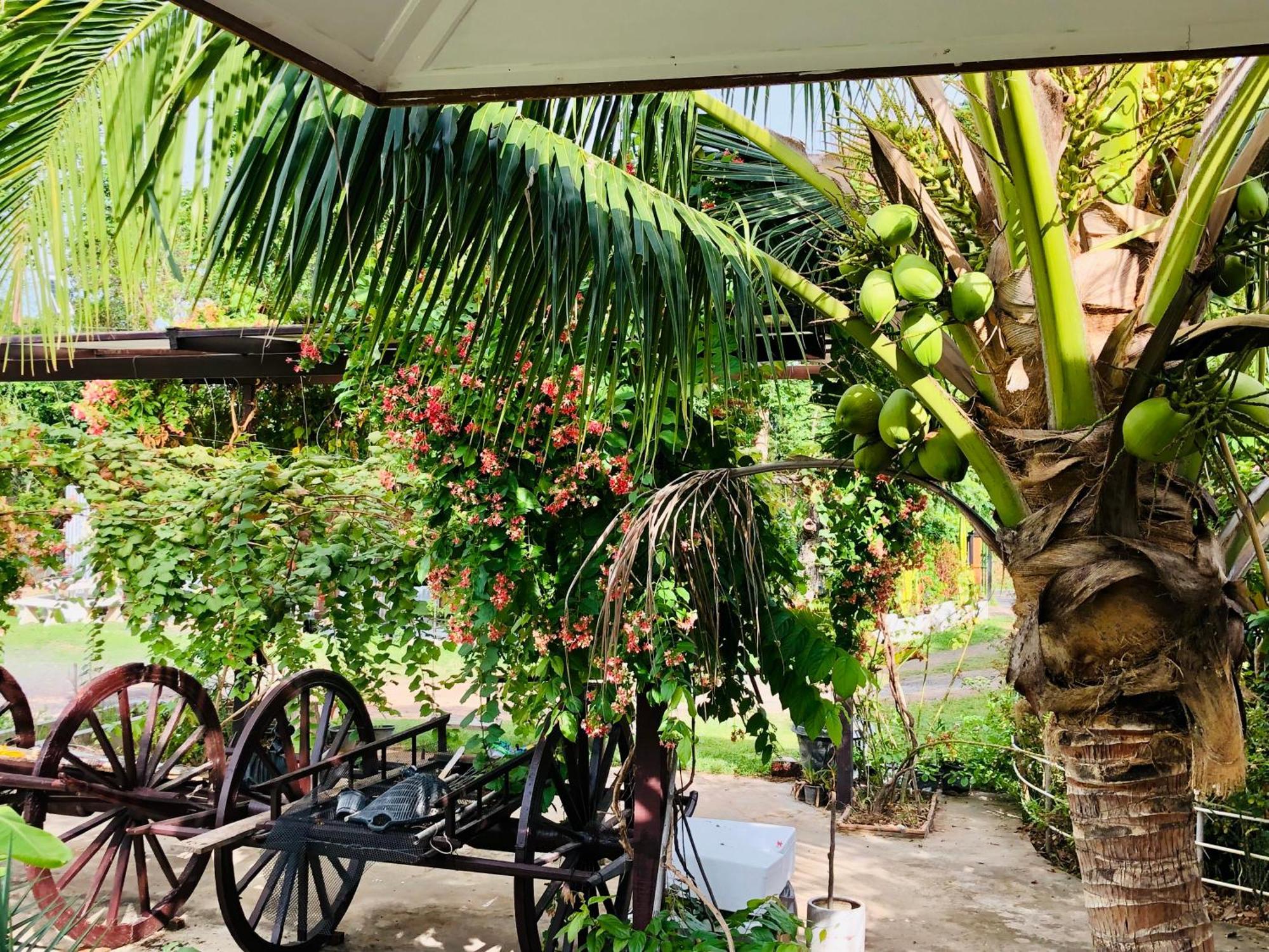 Baan Thung Home Stay Prasat Dış mekan fotoğraf
