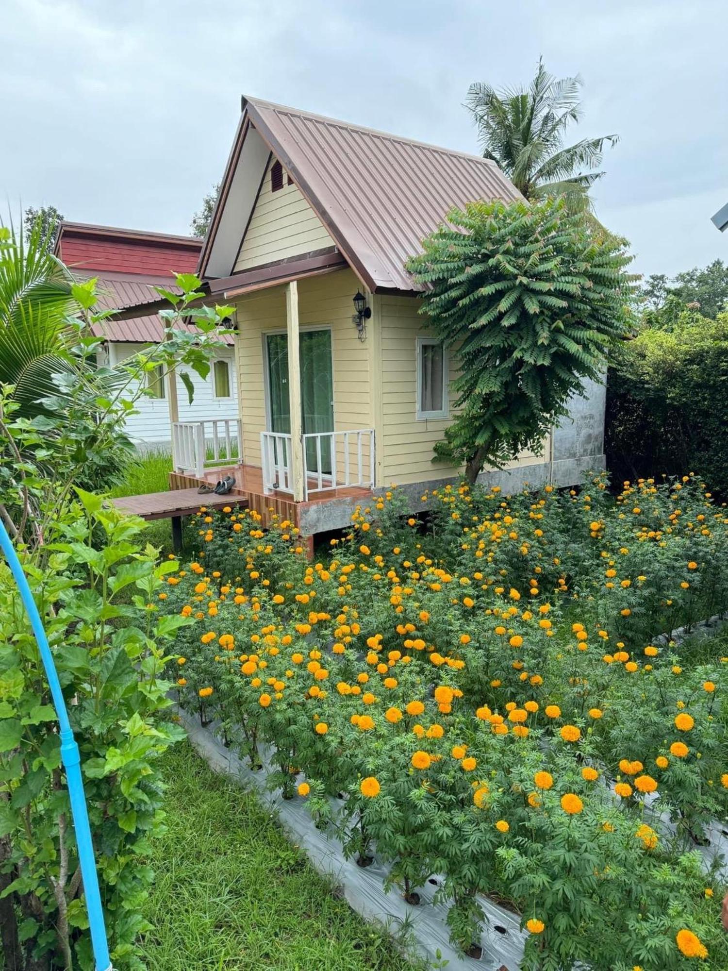 Baan Thung Home Stay Prasat Dış mekan fotoğraf