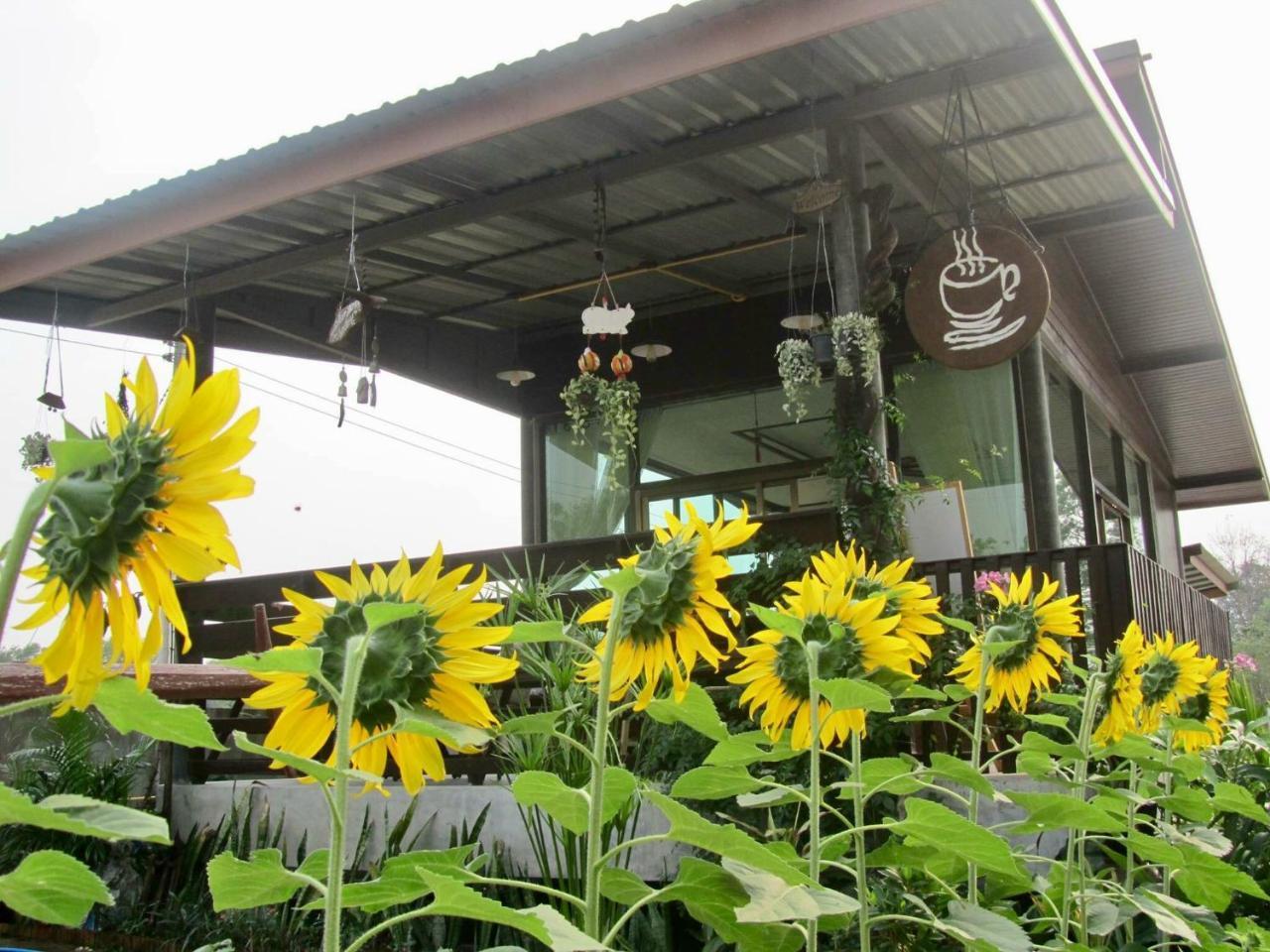 Baan Thung Home Stay Prasat Dış mekan fotoğraf