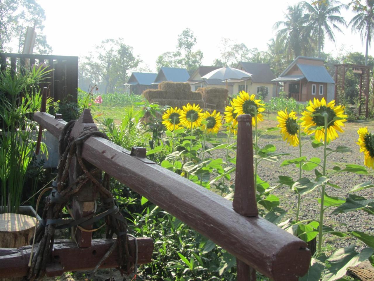 Baan Thung Home Stay Prasat Dış mekan fotoğraf