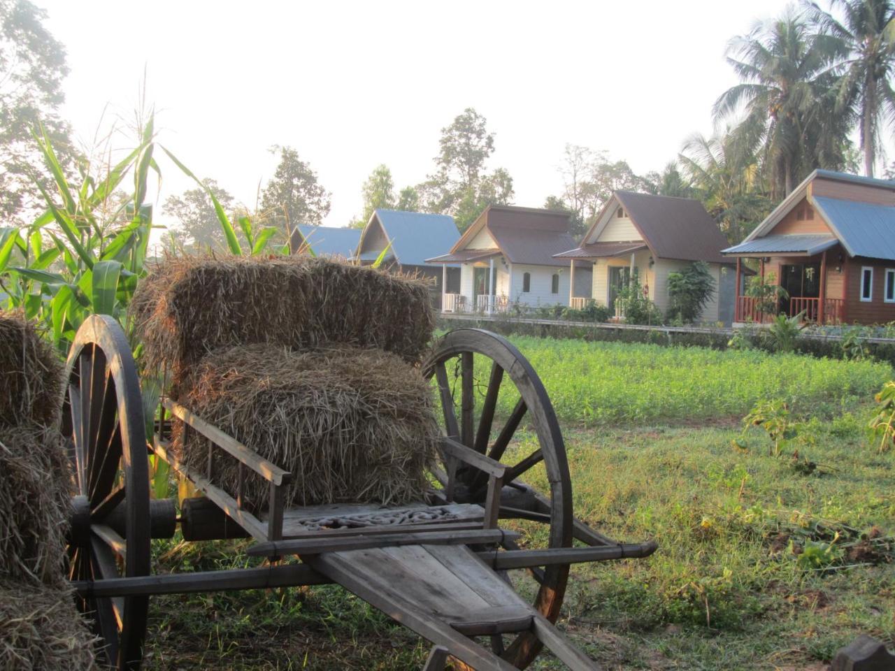 Baan Thung Home Stay Prasat Dış mekan fotoğraf