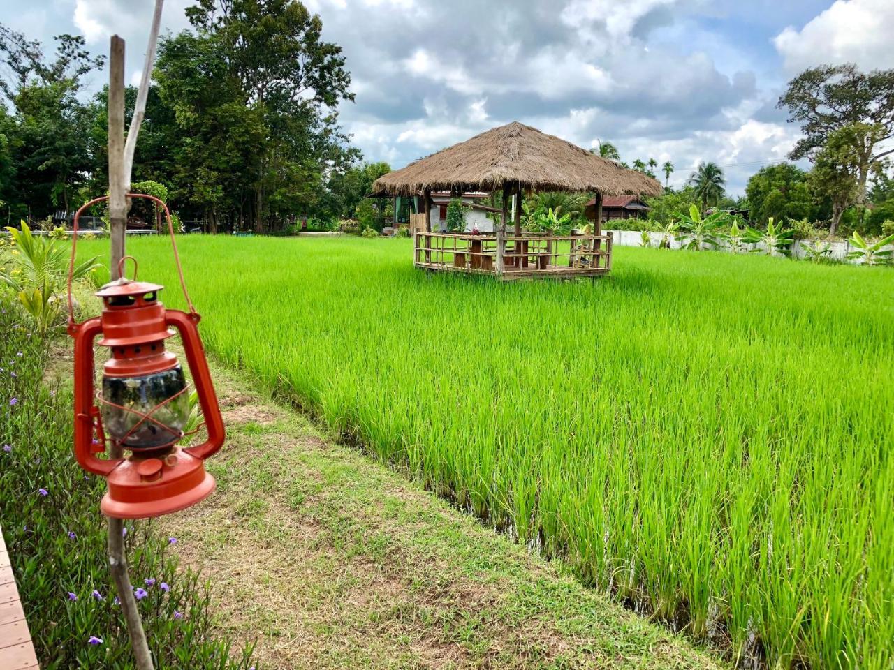 Baan Thung Home Stay Prasat Dış mekan fotoğraf