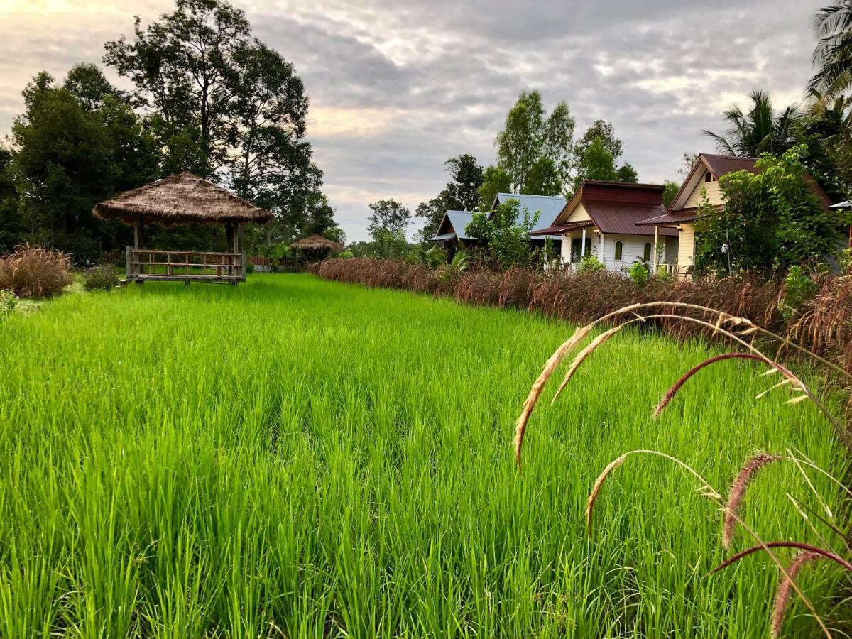 Baan Thung Home Stay Prasat Dış mekan fotoğraf